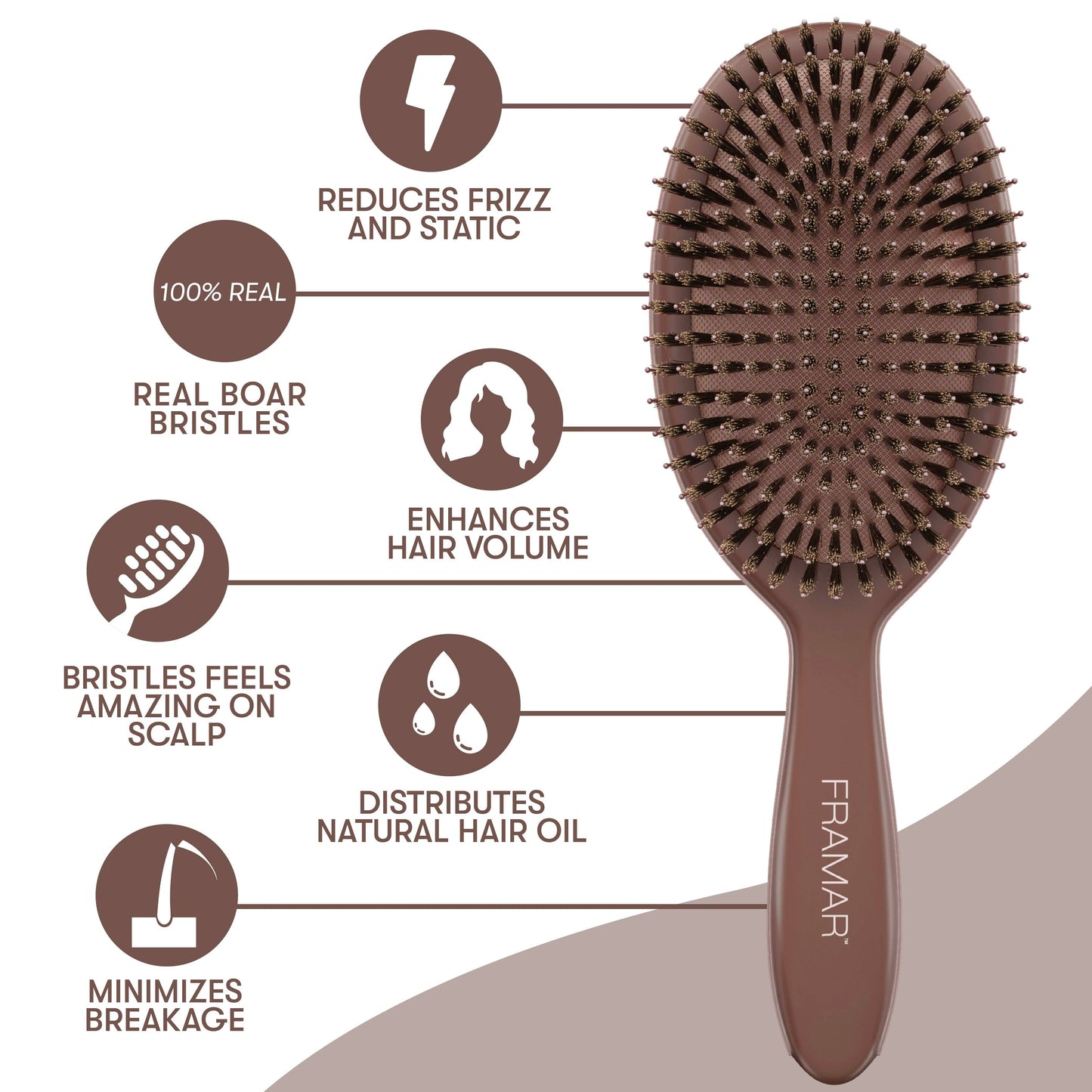 FRAMAR Boar Bristle Hair Brush, Boar Brush For Hair - Brown